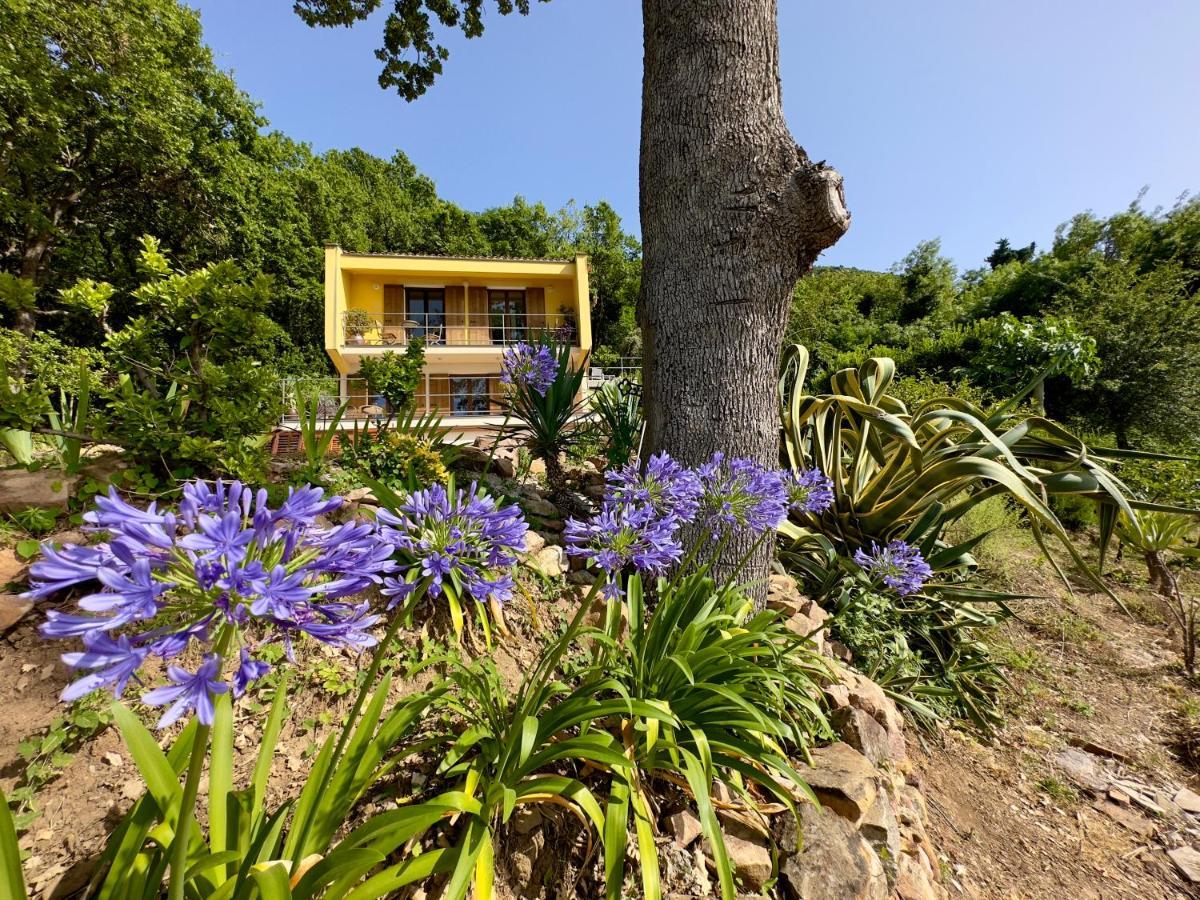 Cefalu Forest Hideout 외부 사진