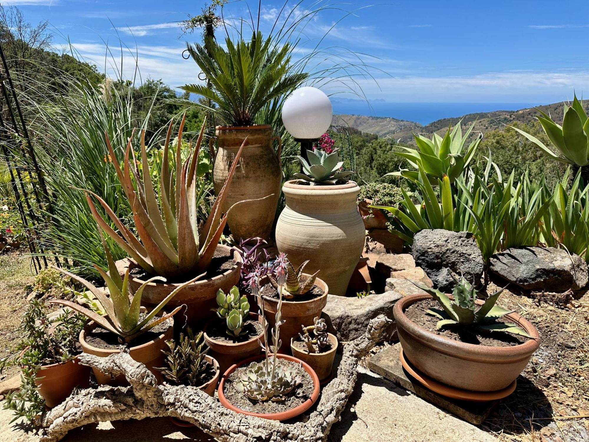 Cefalu Forest Hideout 외부 사진